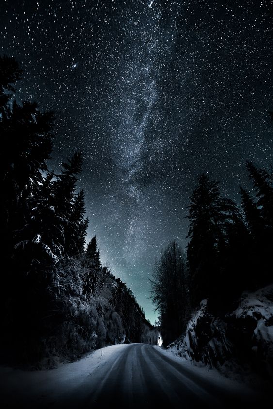 «Desembernatt».