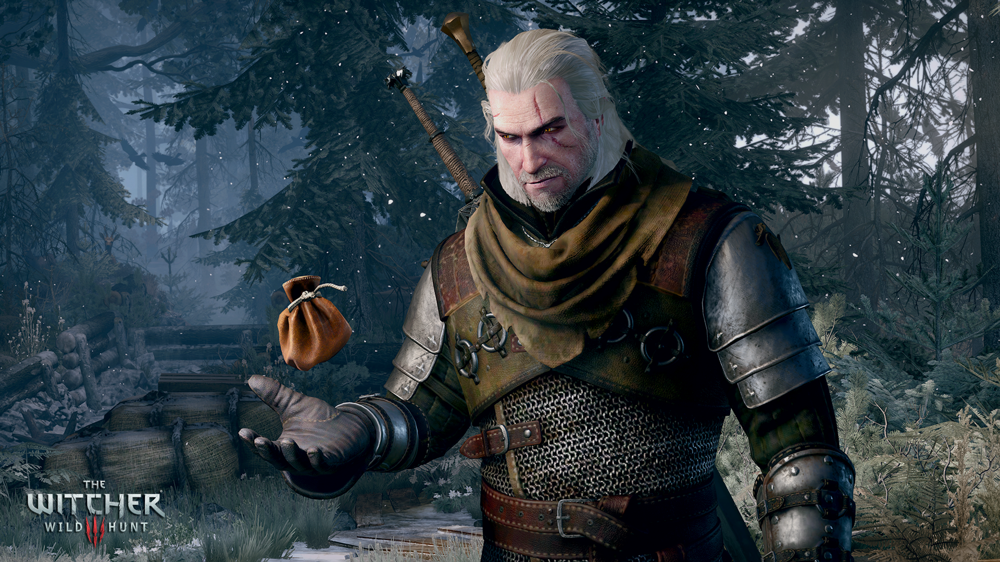 [Imagen: the-witcher-3-wild-hunt-getting-paid-bes...he-job.png]