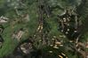 Rise & Fall: Civilizations at War