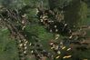 Rise & Fall: Civilizations at War