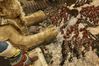 Rise & Fall: Civilizations at War