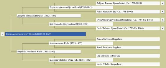 Ved hjelp av bygdebøker og andre kilder fyller jeg gradvis ut familietreet i slektsprogrammet Legacy.