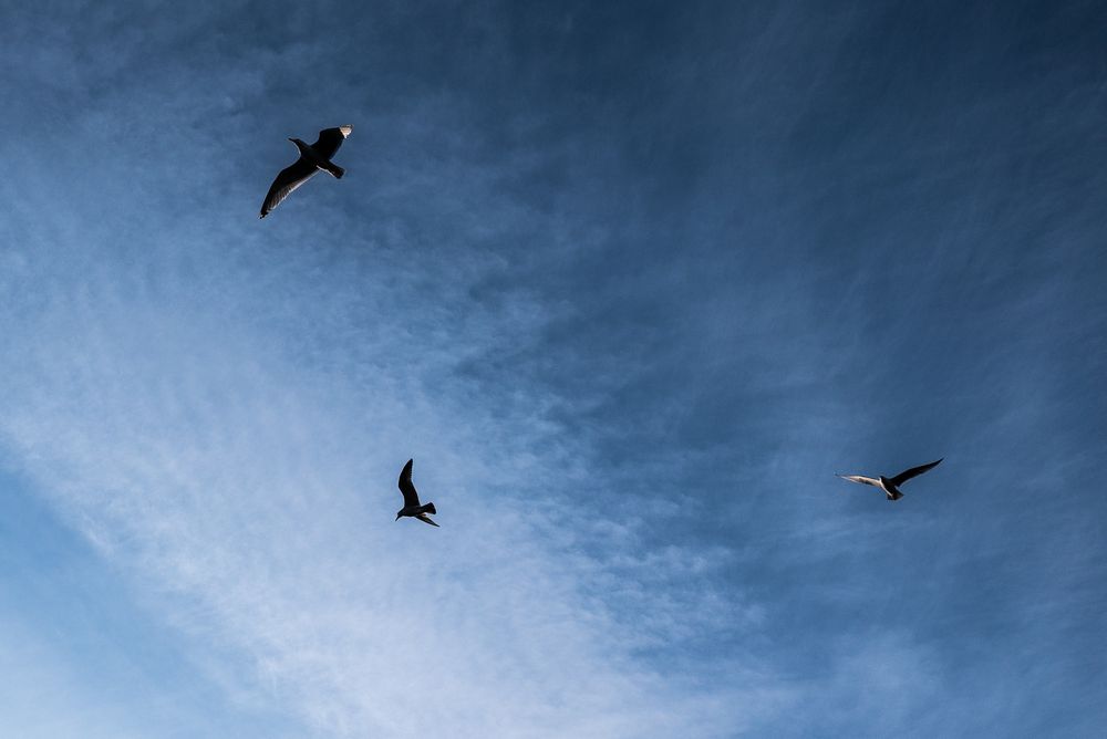 Panasonic LX100 - 15,4mm - 1/4000 - f/2.8 - ISO 100.
