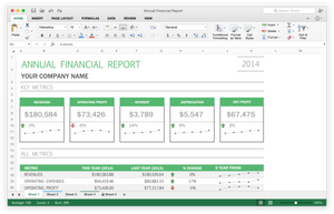 Excel 2016 for Mac.
