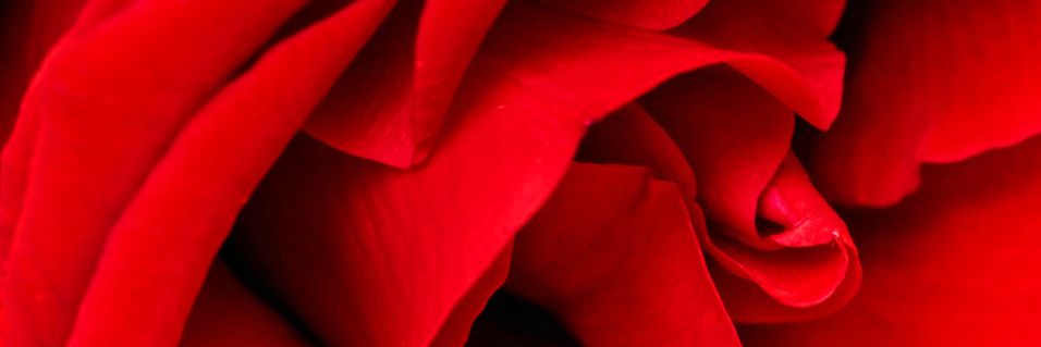 Derfor feirer vi valentinsdag og morsdag