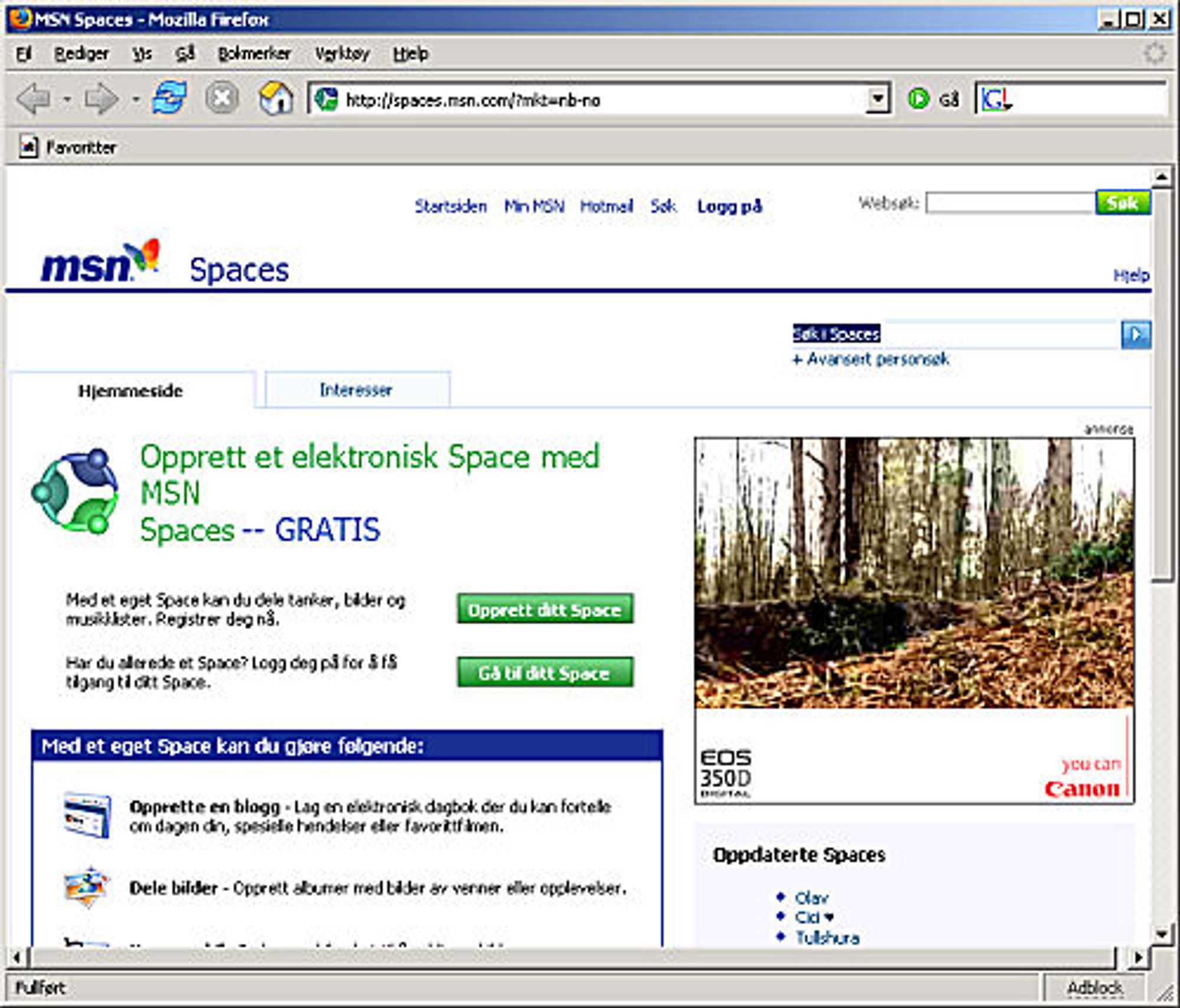 MSN Spaces