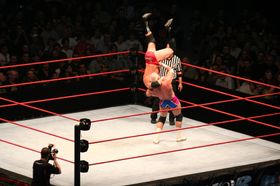 WWE arrangerer wrestlingkamper og har nulltoleranse for piratkopiering.