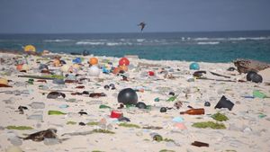 Beach_strewn_with_plastic_debris_%288080