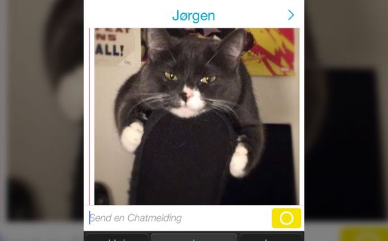 Endelig kan vi sende alle kattebildene vi har lagret på mobilen!