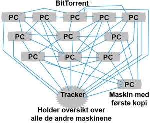 I et BitTorrent-nettverk kan i prinsippet alle datamaskiner laste ned fra alle andre datamaskiner.