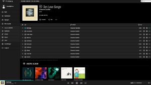 Slik er TIDAL på PC-en.