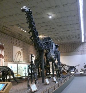 Nå kan denne hete brontosaurus igjen.