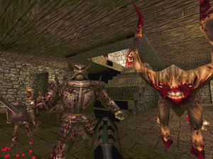Quake tok opp alle ressursene, så id Net ble lagt på is.