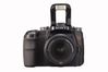 Sony Alpha DSLR-A100