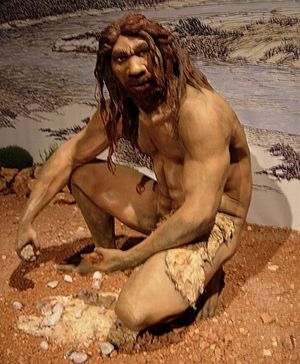Homo heidelbergensis.