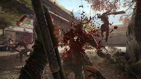 Det ser ikkje ut til å blir mindre blod i Shadow Warrior 2 akkurat.