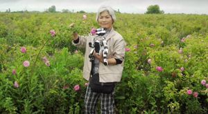 AIBO-eier Michiko Sakurai går ingen steder uten AIBO-en sin.