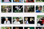 Programtips: Picasa