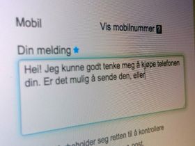 Ikke skriv dette til selger, selv om du har funnet et godt tilbud. Da binder du deg til en muntlig kontrakt.