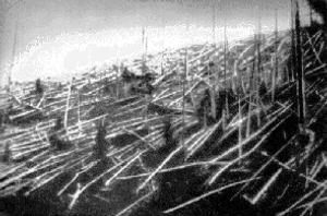 Slik så det ut i Tunguska-området etter smellet.