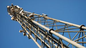 original.300x169.jpg