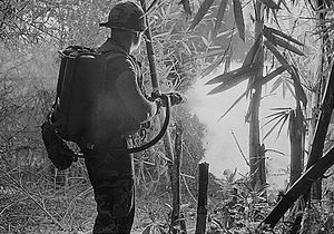 Amerikansk soldat bruker flammekaster under Vietnam-krigen.
