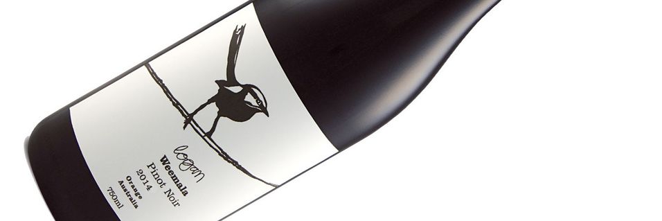 Pinot noir behøver ikke koste skjorta