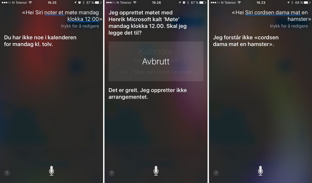 Tross opplæring er det tidvis vanskelig å få Siri til å samarbeide. Det største problemet er at det er vanskelig å forutse hvordan den vil reagere på setningen du sier, men av og til skjønner den absolutt ingenting. For ordens skyld, det vi lurte på var hva slags mat en hamster skulle ha.