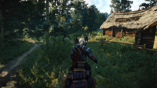 Geralt møter på mange farlige skapninger på sine reiser.