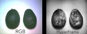 Bilde av en avocado tatt med vanlig kamera (t.v.) og HyperCam.
