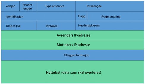 Slik er en IP-pakke (i IPv4) bygget opp. I denne artikkelen har vi konsentrert oss om det du ser i grønt: Avsenders og mottakers IP-adresse, samt nyttelasten – den informasjonen som skal overføres mellom to enheter i nettverket.
