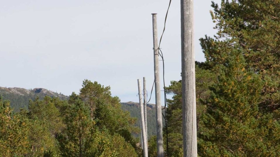 Førstemann til mølla tar kobbernettet