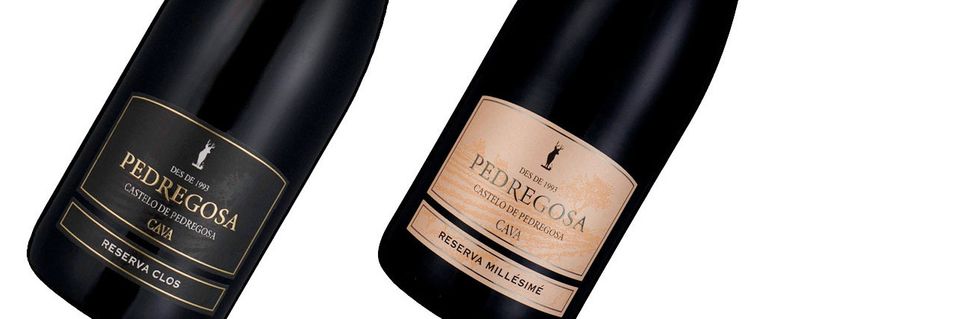 Disse cava-ene er like gode som champagne