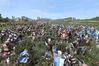 Medieval II: Total War