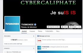 I tillegg til angrepet mot TV5Mondes interne systemer ble også selskapets sosiale medier-kontoer kapret og vandalisert.