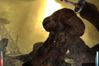 Dark Messiah of Might & Magic