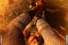 Dark Messiah of Might & Magic