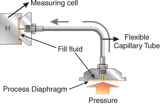 Diaphragm Seal: Prosesstrykket (Pressure) overføres via oljen i kapilærrøret (Capillary Tube) til sensoren (Measuring Cell). 