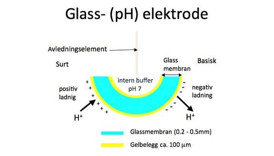 Gel-sjiktet, ytterst på elektroden, er kjernen i pH-målingen, og må alltid holdes fuktig (og ren!).