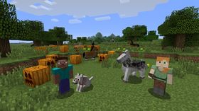 Sony er bekymret for sikkerheten til yngre Minecraft-spillere.
