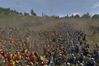 Medieval II: Total War