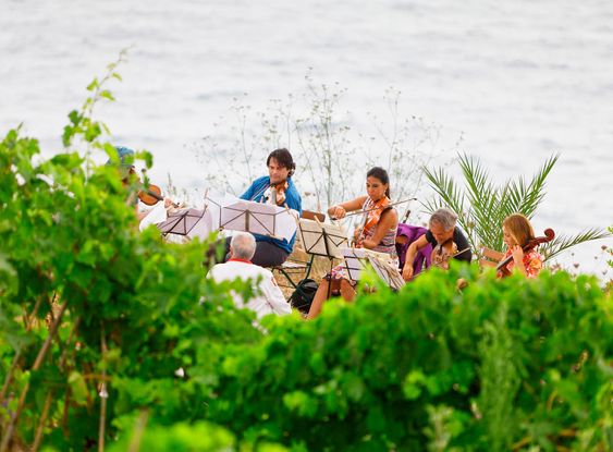 Hele Castagna-familien er musikalske og spiller gjerne ute i vinmarken.