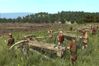 Medieval II: Total War