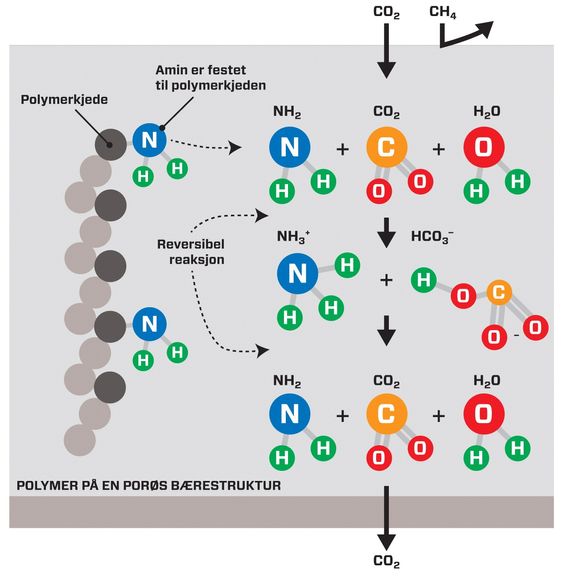 ØKT LØSELIGHET: Figuren illustrerer hvordan økt løselighet av CO2 i membranen kan oppnås. Her reagerer CO2 fra høytrykkssiden med amingruppene på polymeren og fraktes gjennom membranet med trykkfall.  