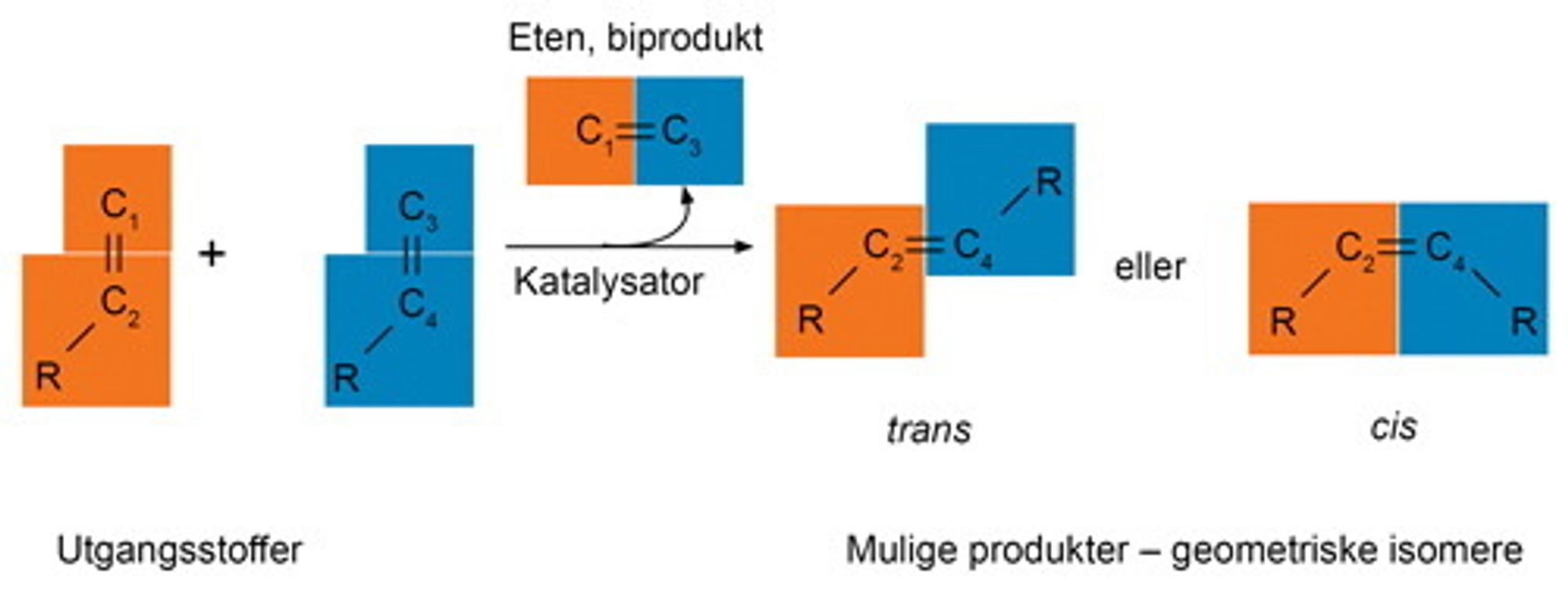 Ved olefinmetatese bytter halvdeler og danner nye alkener. Kjemiske grupper (R) som kan være korte eller lange kjeder eller ringstrukturer, er koblet til karboatomene (C) i den umetta bindingen. I produktet kan de enten være på forskjellig side av bindingen (trans-produkt), eller på samme side (cis-produkt). Katalysatoren påvirker hvor mye som blir dannet av hvert av produktene.  
