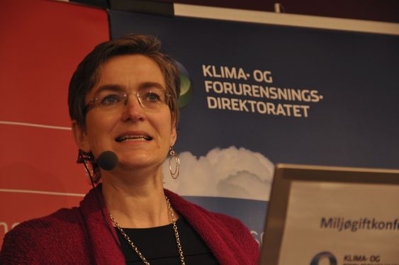 TALTE: Klif-direktør Ellen Hambro holdt tale på Miljøgiftkonferansen. Foto: Fredrik Drevon