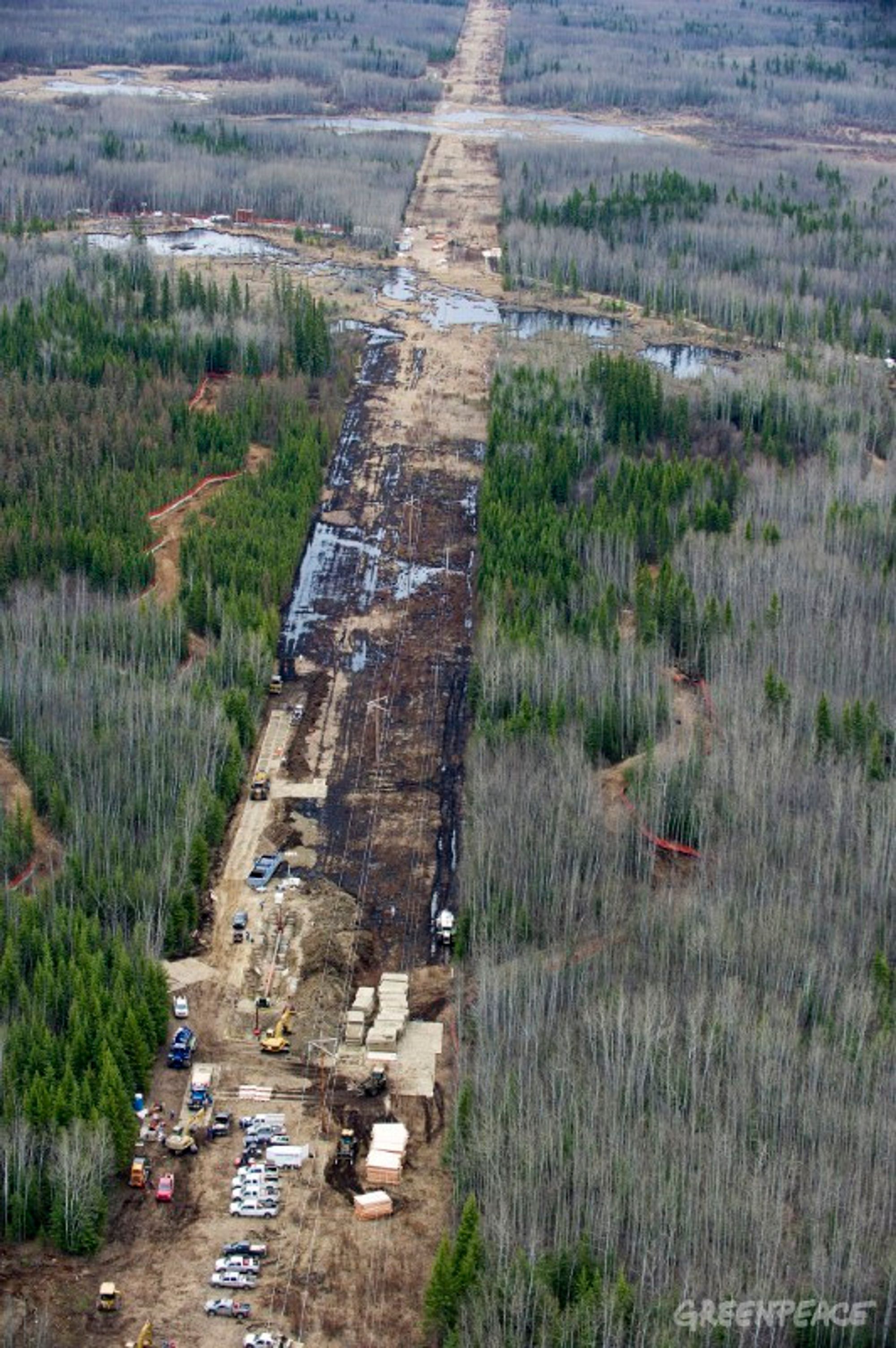 May 5, 2011 - Evi, Alberta, Canada - Crews work to clean up at Rainbow Pipeline's oil spill, the worst Alberta oil spill in 35 years, dumping 28, 000 barrels of oil into a wetland area at Evi, Alberta which is near Little Buffalo, Alberta, Canada. Rainbow Pipeline is owned by a Canadian subsidiary of Houston-based Plains All American Pipeline L.P. PHOTO BY ROGU COLLECTI / GREENPEACEPHOTO CREDIT MUST BE INCLUDEDONE TIME USE DO NOT ARCHIVE 28.000 fat olje har lekket ut i et indianerreservat i Alberta, Canada.
