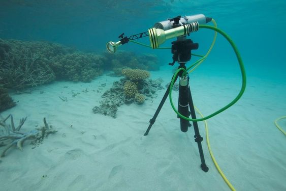 Ecotone AS. Fra testing av optisk sensor på Great Barrier Reef i Australia i januar 2011.