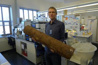 Drivstoff fra stokken: Ved UMB har de lang erfaring med enzymer som bryter ned komponentene i trematerialer til sukkerarter. Nå skal aktiviteten, som ledes av Vincent Eijsink, videreføres i prosjektet Oxymod.
