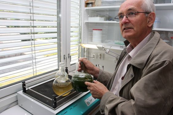 KOMPLISERT: Det er noe helt annet å dyrke alger i kolber, enn å oppskalere dyrkningseffektiviteten til industriell skala, framholder UMB-professor Hans Ragnar Gislerød.